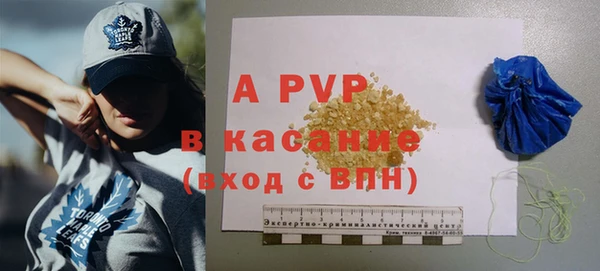 стафф Алзамай