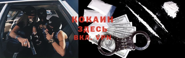 стафф Алзамай