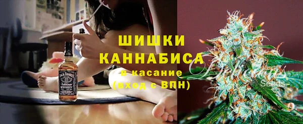 стафф Алзамай