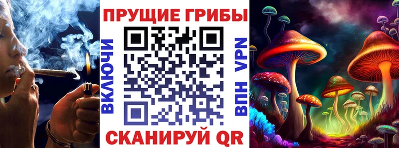 Купить где  Мезень  Псилоцибиновые грибы прущие грибы 